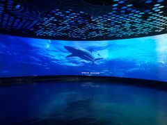 -同济大学四平路校区深海探索馆
