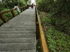 -云碧峰国家森林公园