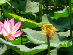 -奥林匹克森林公园南门-停车场