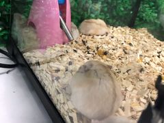 -狗道宠物(常熟印象城店)