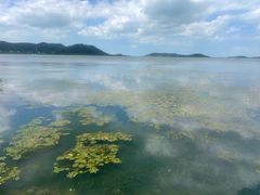 -湖山人家·湖景餐厅·特色农家菜(太湖西山店)
