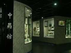 -广东中医药博物馆