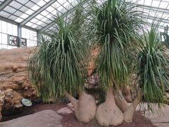 -南通洲际绿博园