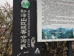 -妙峰山风景名胜区