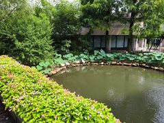 -杭州西湖丝绸文化博物馆