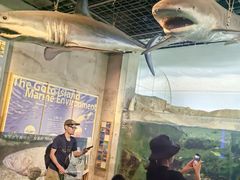 -西海国立公园九十九岛水族馆