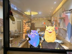 -滚猫咖啡·猫咖·猫友好撸猫(未来城店)