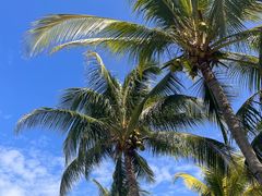 -三亚南山文化旅游区