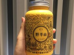 -野萃山·潮汕厚果汁(十亩地店)