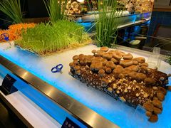 活体菇-V-ONE西雅图海鲜自助餐厅(仓山万达广场店)