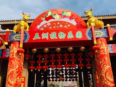 -南宫五洲植物乐园