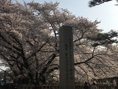 -名古屋城