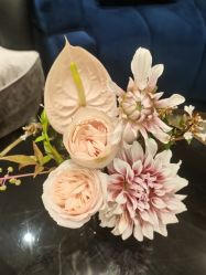 -魔型社烫染店
