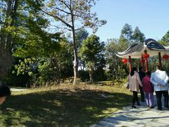 -金山植物公园