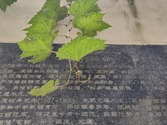 -三林塘老街