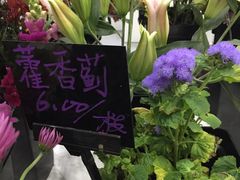 -Butchart布查德鲜花(花艺设计中心)