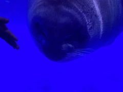 -上海海昌海洋公园-冰山北极馆
