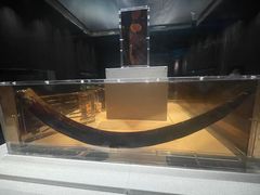 -金沙遗址博物馆
