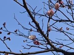 -狼山风景名胜区
