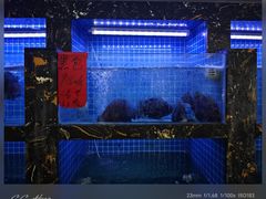 -鑫鸿达·海鲜闽菜热炒小馆(中山路店)