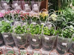 -盒马鲜生(首义店)