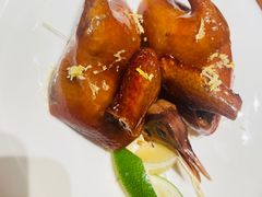 -觅唐MITONG(鸟巢店)