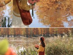 -白鹭湾湿地公园