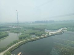 -白洋淀景区