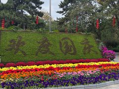 -团结湖公园