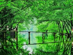 -西溪南古村落景区