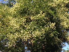 景点-八达岭长城