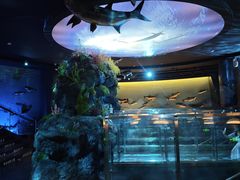 -陕西自然博物馆