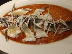 -丹江渔村(望京店)