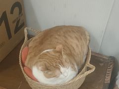 -小时光咖啡馆(北锣鼓巷店)