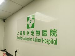 -爱侣宠医·鹦鹉专科·小型哺乳类·异宠专科(灵石路店)