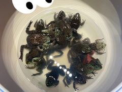 -鸽子窝(黄村店)