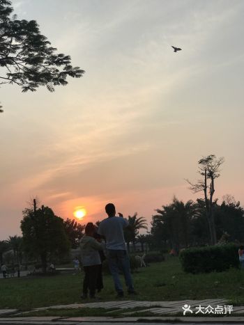 沿着江滨一路走下来，都是美好的样子！