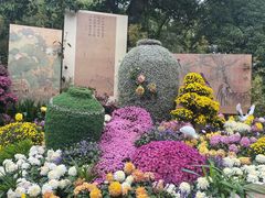 -杭州植物园