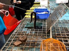 -寻味顺德·南记酒家·传统顺德菜·鱼生(广源路店)