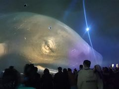 -烟台海昌鲸鲨海洋公园