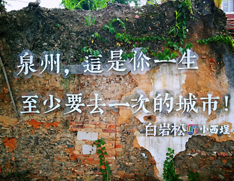 白岩松说"泉州,这是你一生至少要去一次的城市!