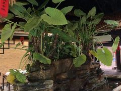 -园林美食城·本土农家菜(杨和镇店)