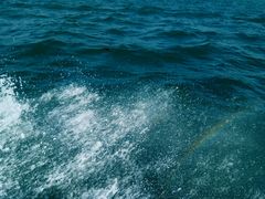-东姑阿都拉曼海洋公园