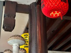 -菌之家·专业纯野生菌火锅·特色炒菌