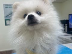 -美联众合24小时·皮肤科·外科·全科诊疗中心(华苑分院)