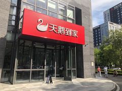 -天鹅到家·保姆月嫂育儿嫂(总店)