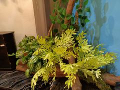 -湘当爱·鲜煮现炒(松岗立业路店)
