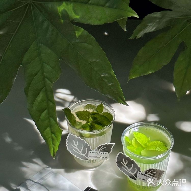 在上海 恋上绿薄荷味儿的夏天🍃