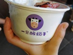 -一只酸奶牛(八一路店)