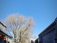 -赵府街副食店